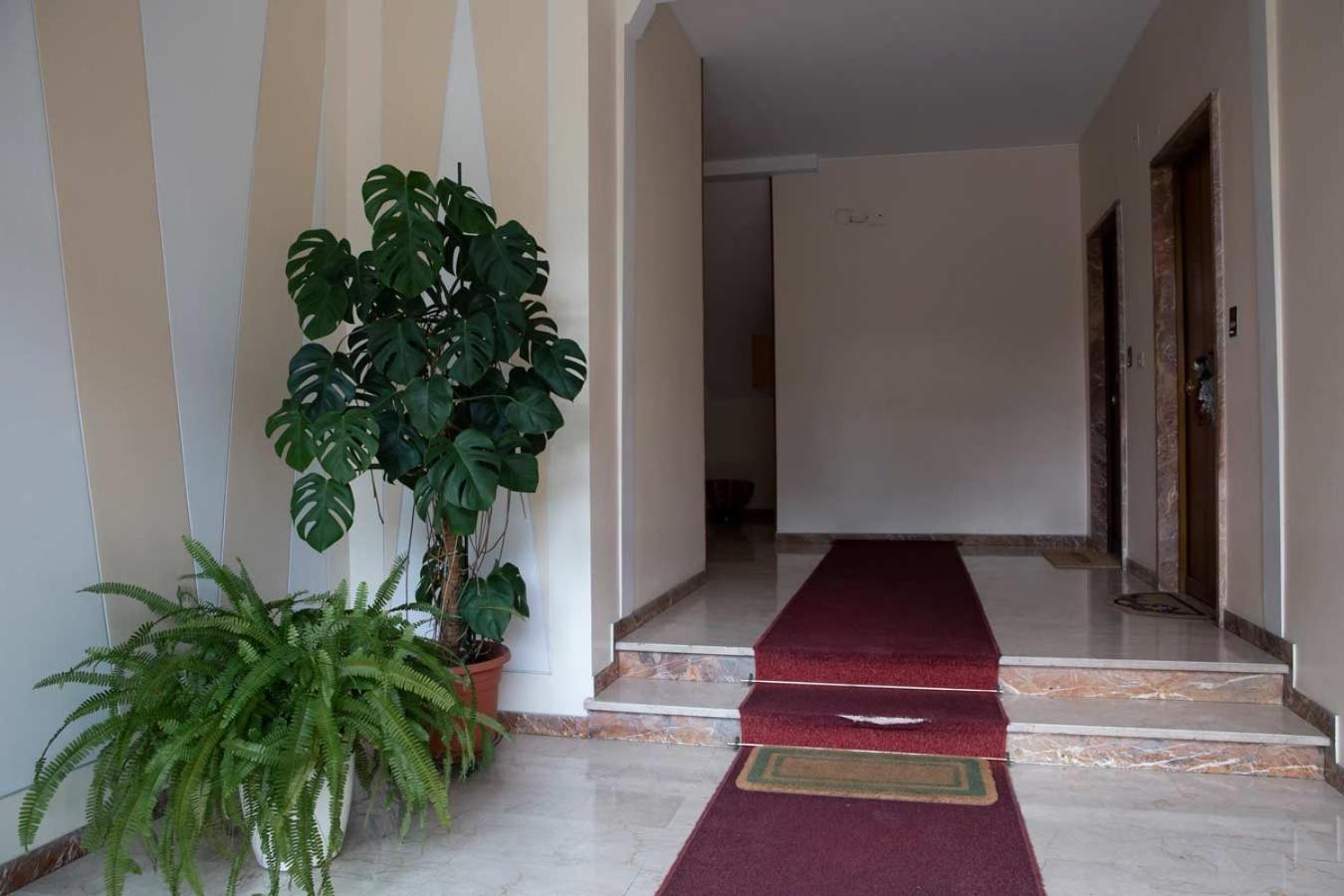 Casa Di Pier&chico Apartment